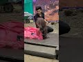 Parineeti Serial Anchal Ankur BTS Parineeti Today Episode New Promo Pariraj