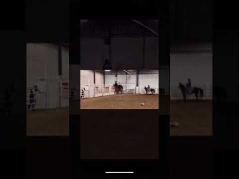 Bronson Wehrli - Rodeo Road - Misc Originals