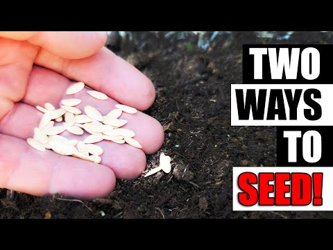 2 Direct Seeding Methods - Garden Quickie Episode 143