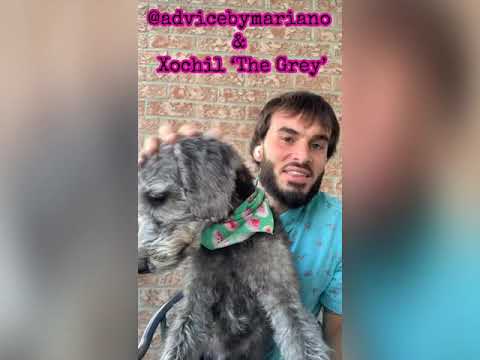 #9 Registered Education Savings Plan (RESP) 101 - PLANNING with @advicebymariano