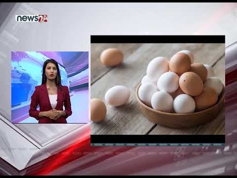 TODAY FATAFAT NEWS - NEWS24 TV