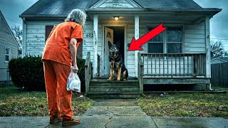 Nach 20 Jahren Haft kommt eine alte Frau heim – der Hund im Haus schockiert sie.