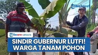 Viral! Aksi Protes Warga Blora Tanam 30 Pohon Pisang di Jalan, Sakit Hati Diremehkan Gubernur Luthfi