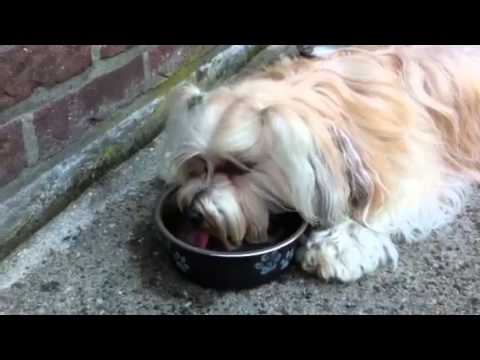 Tessa .. Sweet Girl ❤