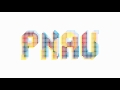 PNAU - The Truth 