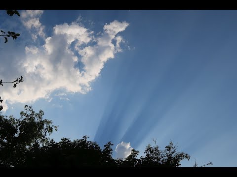 Beautiful Dawn Chorus Birdsong West Sussex UK