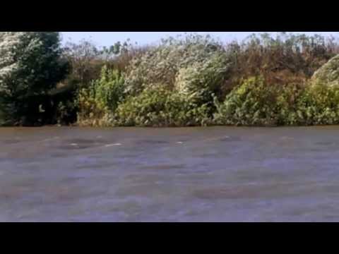 Timisul la Cebza - 18.10.2013 - part 1