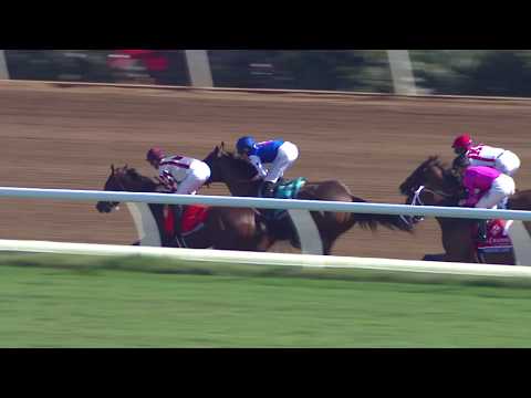 2017 14 Hands Winery Breeders' Cup Juvenile Fillies - Caledonia Road