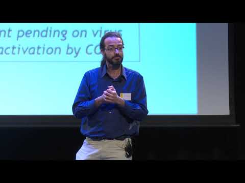 UNSW 3MT 2018 - Adrian Garrido Sanchis - Water Sterilisation by Bubble Collisions with Microbes