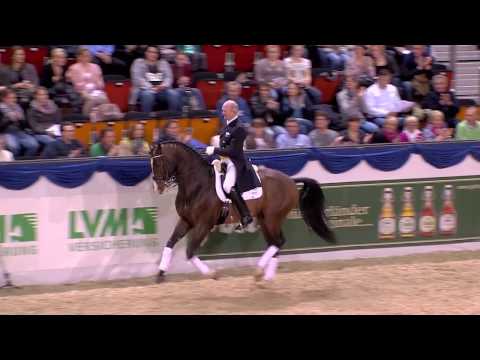 Escorial 2017 - Hengststation Gut Neuenhof