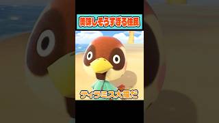 【あつ森】離島ガチャで美味しそうすぎる住民と出会いました