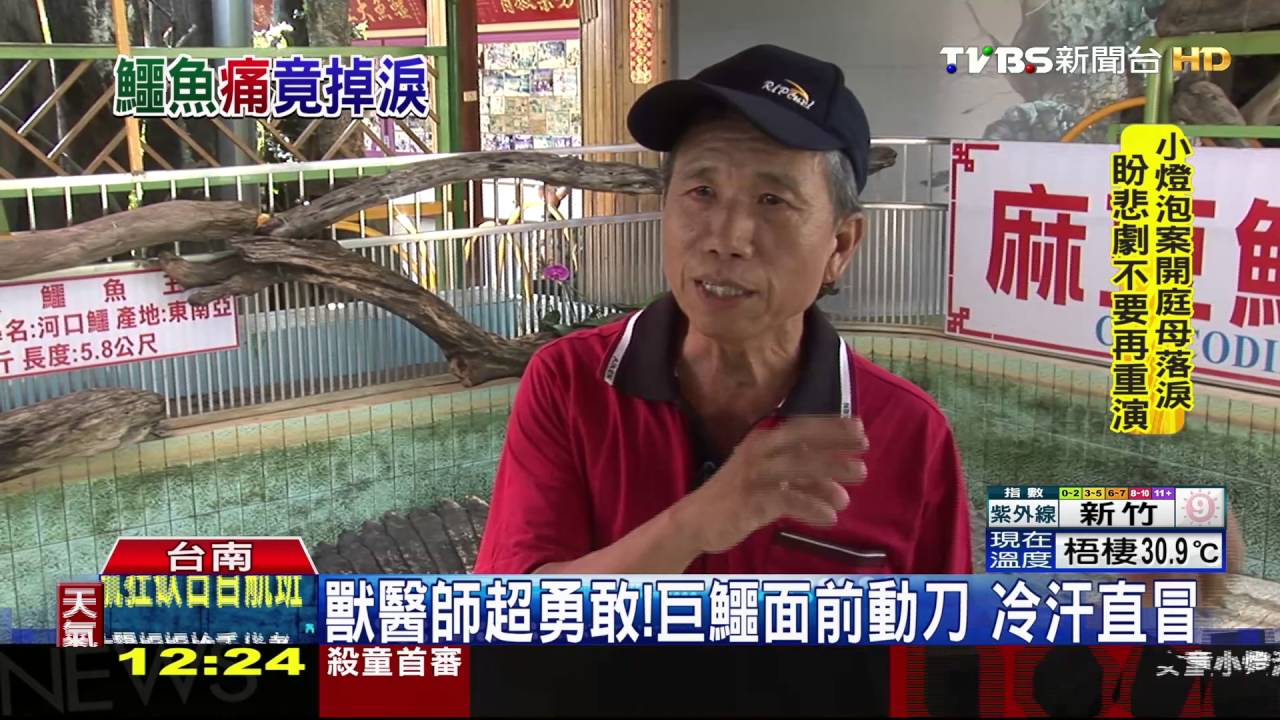 移民前整牙!「小河」流下鱷魚眼淚 獸醫冒汗