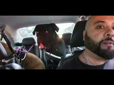 Blackstone edge Aqib ghost and Lexi