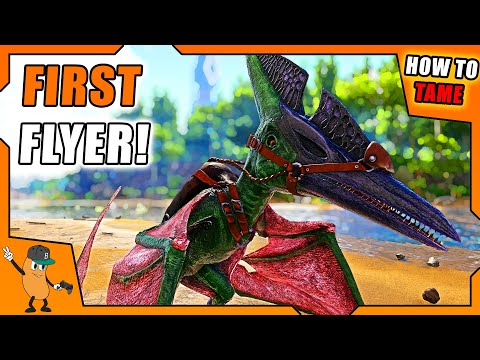 HOW TO TAME A PTERANODON! | YOUR FIRST FLYER! | ARK How To Tame Series