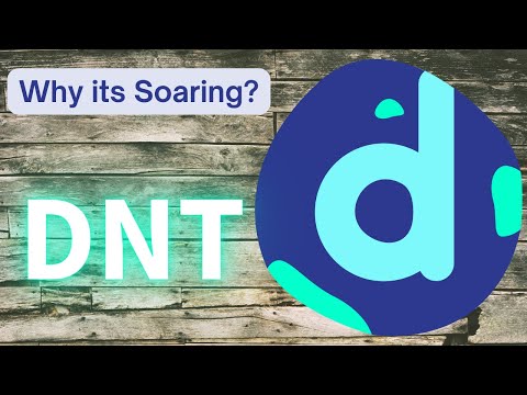Is DNT Coin a Good Buy? | District0 Network Review!