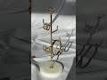 Gold Tube Hoops Sienna Ring Gold Diamond Bangle