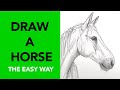 How To Draw A Horse Simple Beginner Friendly