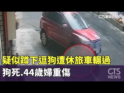疑似蹲下逗狗遭休旅車輾過！　狗死.44歲婦重傷