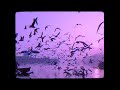 Laaree Chootee Call WORMONO Feat Tejas R H Lofi Remake Hindi Lofi Harshit Chand