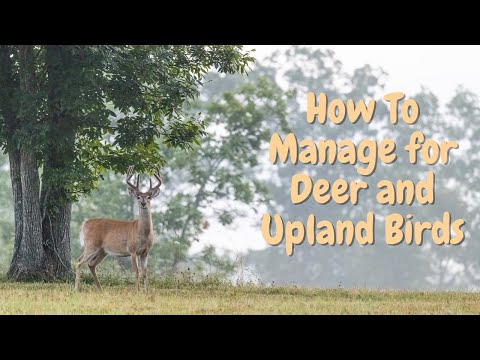 , title : 'How To Manage Your Property For Deer and Upland Birds'