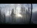 Psyshack Indigo Deep House Mix