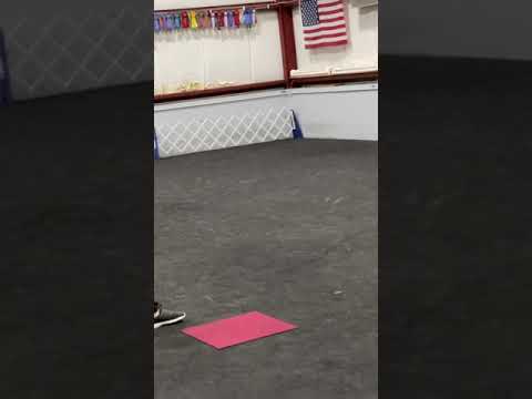 The beginning of a backup.....Nadira