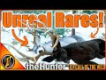 Our RARE Mule Deer Luck ️ Is OFF THE CHARTS TheHunter Call Of The Wild
