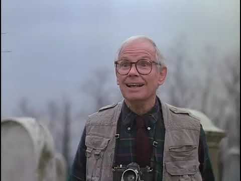 The Dark Half Official Trailer #1 - Timothy Hutton Movie (1993) HD