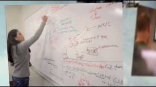 LMU-DeBusk College of Osteopathic Medicine
