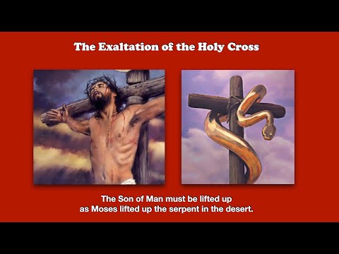 The Son of Man must be lifted up