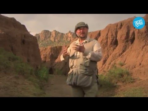 Healing the Earth | John D. Liu