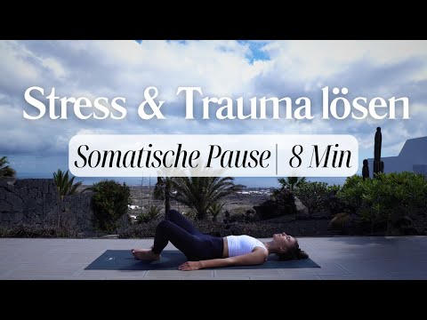Somatische Übungen, um Stress, Anspannung & Trauma zu lösen | 8 Minuten | Neurogenes Zittern