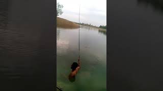 Download lagu FISH ON .. PELEM BINATUR mp3