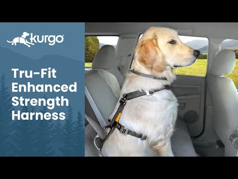 How to Use the Tru Fit Enhanced Strength Harness