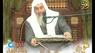 بداية المجتهد (93)  " إصابة القبلة " كتاب الصلاة - لفضيلة الشيخ مصطفى العدوي للشيخ مصطفى العدوي image