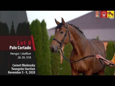 Cornet Obolensky Youngster Auction-Lot 8  Palo Cortado-stallion by Pezetas du Rouet-Cornet Obolensky
