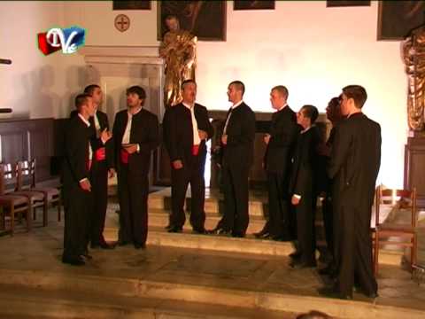 Klapa Tragos -Loza u škripu