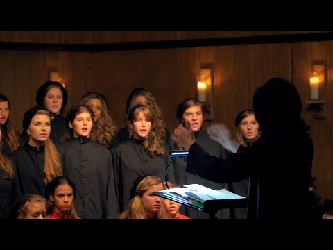 All Bells in Paradise