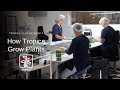 VLOG How Tropica Grow Plants