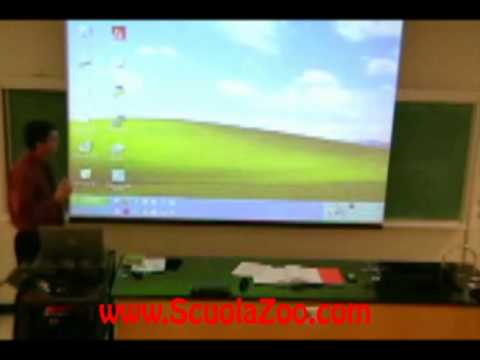 Scherzo stupendo al professore mentre spiega - ScuolaZoo.com
