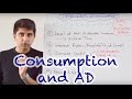 Key Factors Influencing Consumption and Aggregate Demand Explained