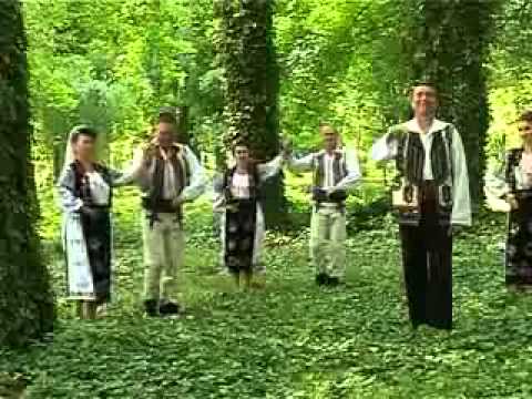 Nelu Bitina - Mai ia-mi doamne din pacate Video Original