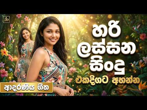 ගින්දර නිවන සිංදු | Best Sinhala Songs | #2026 Trending Songs Collection | EDM cover