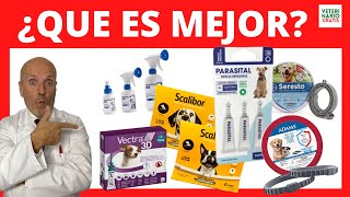 PIPETAS, COLLARES O SPRAYS ANTIPULGAS Y GARRAPATAS 💔 PARA PERROS Y GATOS (PROS y CONTRAS)