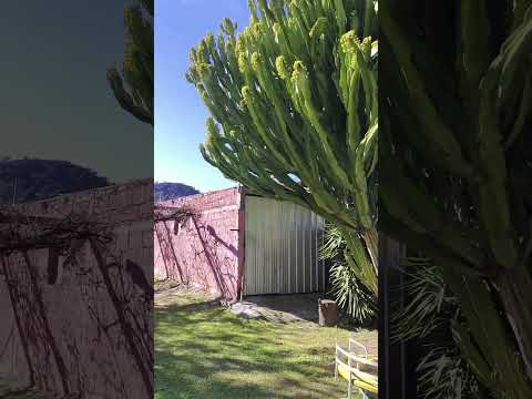 SE VENDE PROPIEDAD 2499M2 FRAYM. ESQUIU CATAMARCA