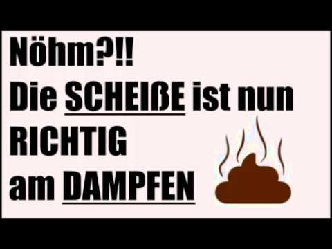 [D.S.Z] Informationen #1