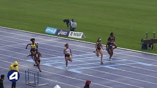 Villeneuve d'Ascq 2019 : 100 m F (Pamera Losange en 11''85) Villeneuve d'Ascq 2019 : 100 m F (Pamera Losange en 11''85)