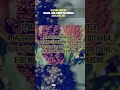Oleseng Shuping The Atteridgeville Happy Boys Helang Lona Dihoai Lyrics Video