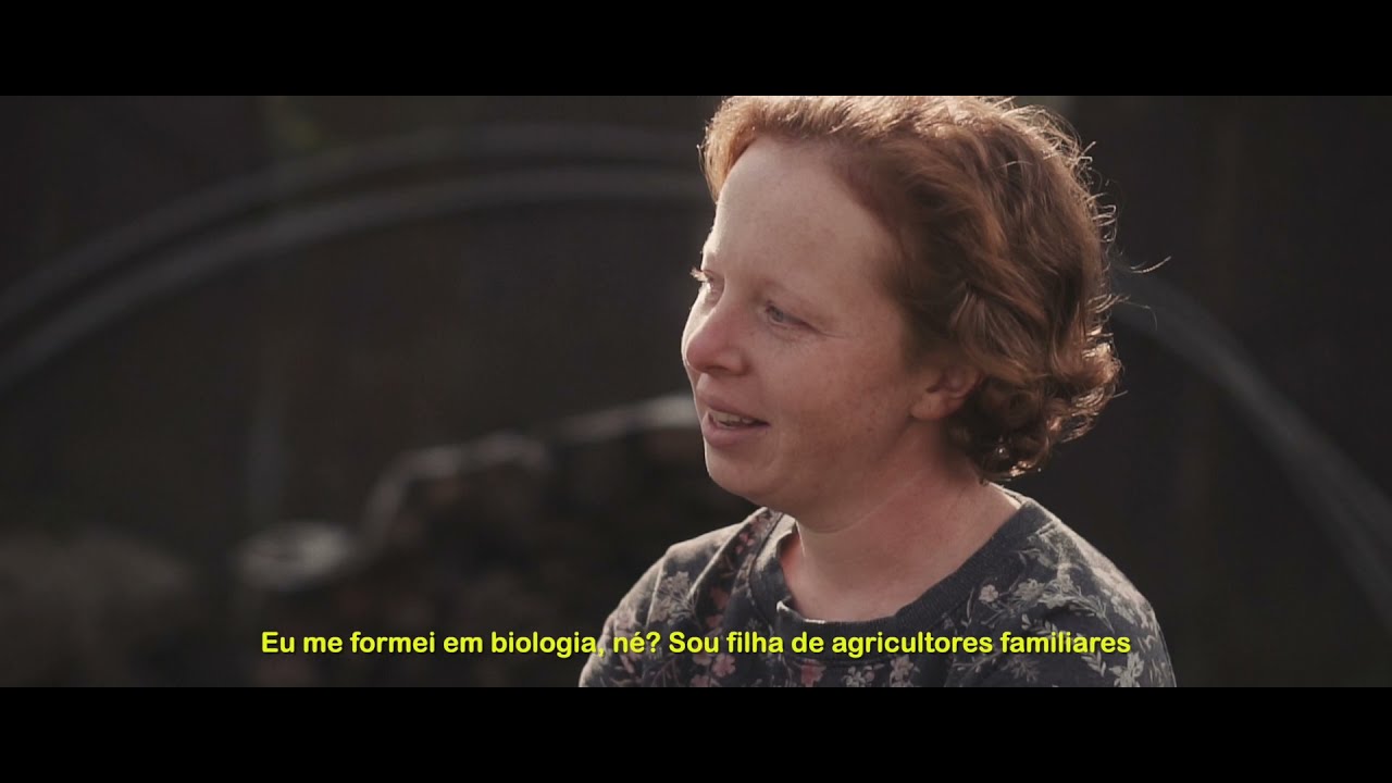 Família Graeff