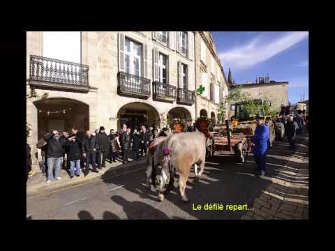 La fête boeufs gras de Bazas